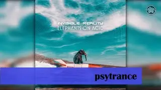 Invisible Reality - Elephants on Acid (Original Mix)