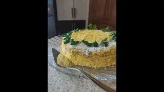 Мимоза