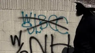 Roaming Around The West Side Pirus~NHP July2024