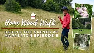 Getting Lost in the Grounds of Britain’s Finest Manor House - Behind the Scenes at Mapperton Ep 5