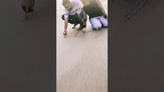 Thank you 17 Lakh Subscribers🙏 