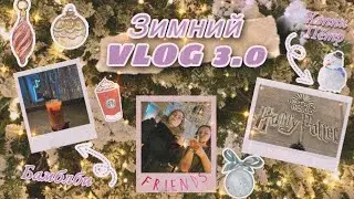 VLOG | Зимняя прогулочка | Хэппи Пётр или Бамблби?