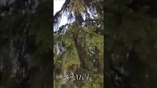 8 мая 2024 г.