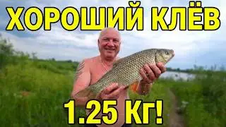 Отдыхаем на р.Неман с женой 2023 хороший клёв рыбы, шашлычёк,водочка,дискотека.
