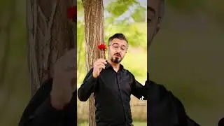 14 May Dünyada Analar Günü