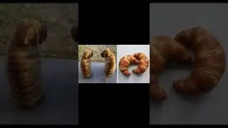 Что за совпадения?😂