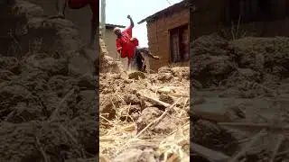 action comedy
