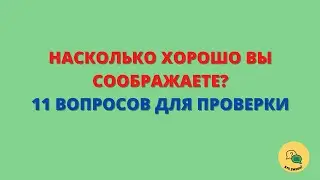 Тест на Логику с Ответами #1