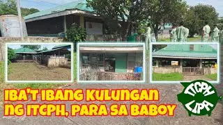 May mga Kakaibang Kulungan ng Baboy | Pagbisita sa ITCPH