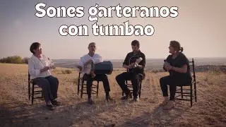 Sones garteranos con tumbao. Album: We. Vigüela #musicatradicional #castillalamancha