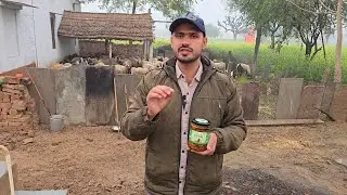 Kasutam Green Chilli Pickle