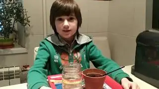 З чого складається ґрунт? Цікаві експерименти /ЯДС 2 клас