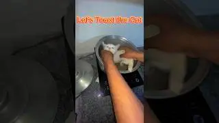 He Cooked his Cat 🤯😨 #cat #trend #youtube #youtubeshorts