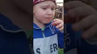 А вы любите малинку? ☺☺☺
