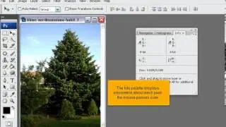 How to get the hex code of a colour for your website in PhotoShop
