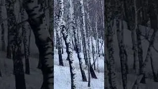 14 марта 2023 г.