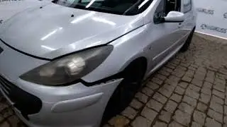 173791 - IMP PEUGEOT / 307 20S A FELI 07/07