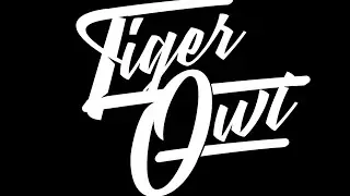 🎉How To Make Logo! [Tutorial] [Pixellab] (TigerOwl)