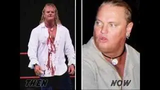 (WWE) Pro Wrestling: Then and Now 2
