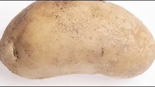How to plant  a potato in Minecraft ...