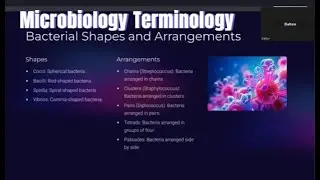 Microbiology Terminology AMT/ASCP Certification Exam