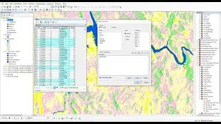 how to autopopulate text and number of field table attribute ArcMap