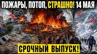 News Today 05/14/2026 - Emergency MOSCOW, Disasters, Events of the Day USA Europe India Thailand