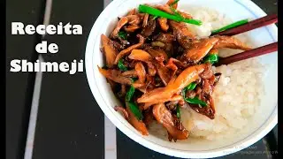 Cogumelo Shimeji como preparar esta delícia oriental