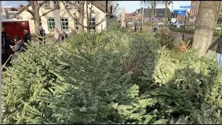KERSTBOMEN OPGERUIMD