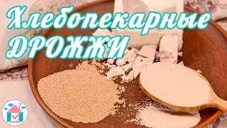 Yeast Dry and Fresh 🍞 How to check yeast? 👍