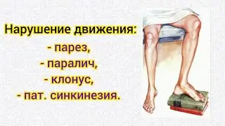 Неврология 1 тема. Нарушения двигательной функции: парез, паралич, клонус, синкинезия.