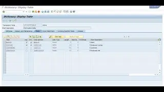 Custom Table Creation in ABAP