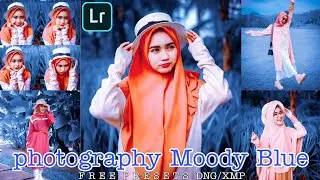Blue tone lightroom preset free || Lightroom mobile presets free dng