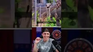 YOU LAUGH, YOU LOSE 😆 