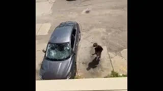 The "Home Run"!
