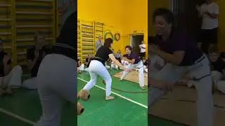 IMG 2374 2