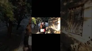 звонить во все колокола 