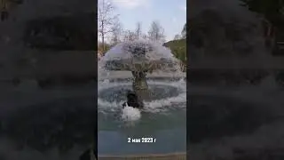 Фонтан с лягушками