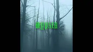 Lil Skirr - My Pain