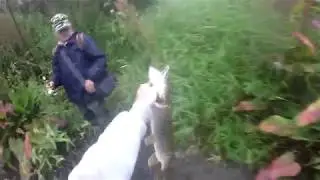 Вот это рыбалка. Кайф. Море щуки и окуня