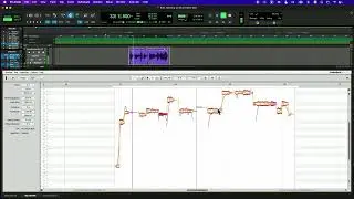 Melodyne Vocal Tuning