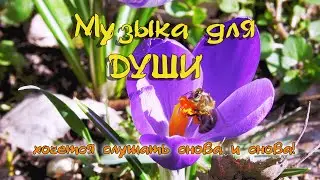 Невероятная музыка для успокоения вашей Души - слушайте снова и снова!