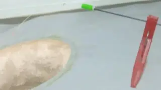 Яуза, Неклевало!)))