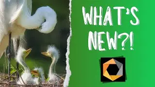 Is it WORTH the Upgrade? What's New In Nik 7.