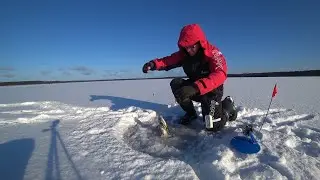 Рыбалка в мороз. Февральская плотва.