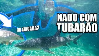 INACREDITÁVEL - EU NADEI COM TUBARÕES DE VERDADE!