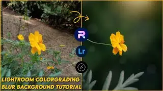 Blur image background | Moody Flower Editing Tutorial | Lightroom Color Grading | PhotoRoom Editing