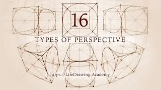16 Types of Perspective