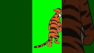 Pooh 🐻 Green screen video free download - Free copyright