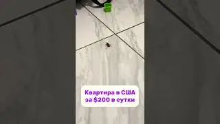 Квартира у океана за $200 в сутки и почему мы решили пожить в AirBnb #переездвсша